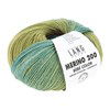 Lang Yarns Merino 200 Bebe Color 155.0551 Orange/Green