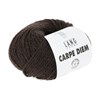 Lang Yarns Carpe Diem 714.0168 Chocolate