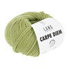 Lang Yarns Carpe Diem 714.0216 Matcha