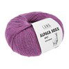 Lang Yarns Alpaca Soxx 4-Fach/4-Ply 1062.0165 Pink Mélange