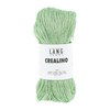 Lang Yarns Crealino 1089.0058 Mint