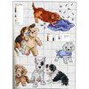 Mango - Animaux de compagnie op=op uit collectie