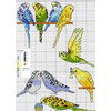 Mango - Animaux de compagnie op=op uit collectie