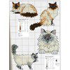 Mango - Animaux de compagnie op=op uit collectie