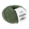 Lang Yarns Poseidon 1128.0098 Dark Olive