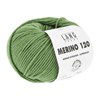 Lang Yarns Merino 120 34.0418 Fern