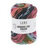 Lang Yarns Merino 120 Color 47.0003 Green/Rose/Blue/Grey