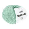 Lang Yarns Carpe Diem 714.0173 Jade Light