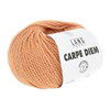 Lang Yarns Carpe Diem 714.0359 Tangerine