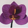 Fresh felt flowers