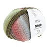 Lang Yarns Cloud 1077.0020 Dark Green/Olive/Light Blue/Red