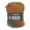 Lang Yarns Move 6-Fach/6-Ply 1146.0008 Orange/Olive/Brown/Blue