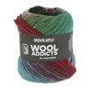 Lang Yarns Move 6-Fach/6-Ply 1146.0010 Dark Green/Red/Blue/Rose
