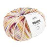 Lang Yarns Mosaic 1165.0002 Bordeaux/Lilac/Pink/Yellow
