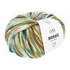 Lang Yarns Mosaic 1165.0005 Green/Brown/Petrol/Grey