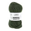 Lang Yarns Donegal Woolen Spun 1172.0017 Green