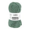 Lang Yarns Donegal Woolen Spun 1172.0058 Mint
