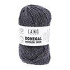 Lang Yarns Donegal Woolen Spun 1172.0190 Galaxy