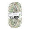 Lang Yarns Super Soxx Bamboo Color 4-Fach/4-Ply 641.0514 Green/Grey 1144 Kinglet