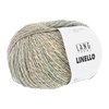 Lang Yarns Linello 1066.0301 Green/Light Rose/Skyblue