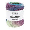 Lang Yarns Quattro Dégradé 1088.0019 Purple/Green/Blue