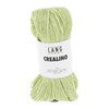 Lang Yarns Crealino 1089.0016 Light Green