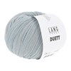 Lang Yarns Duett 1173.0023 Silver/Light Blue