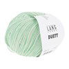 Lang Yarns Duett 1173.0058 Mint/Seafoam
