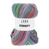 Lang Yarns Eternity 1174.0006 Purple/Pink/Lime/Emerald