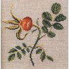 Les roses de Monique Bonnin op=op