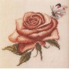 Les roses de Monique Bonnin op=op