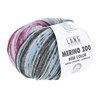 Lang Yarns Merino 200 Bebe Color 155.0606 Blue/Violet/Plum