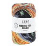 Lang Yarns Merino 120 Color 47.0008 Mint/Corn/Lilac/Orange