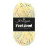 Scheepjes Feel Good 713 Euphoria