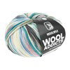 Lang Yarns Move 8-Fach/8-Ply 1147.0013 Emerald/Blue/Grey/Offwhite