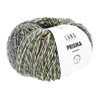 Lang Yarns Prisma 1187.0003 Black/Light Green/Grey