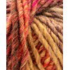 Phildar Phil Colorbig Erable