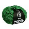Lang Yarns Wooladdicts Joy 1065.0016 - groen