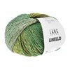 Lang Yarns Linello 1066.0017 groen blauw