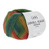 Lang Yarns Jawoll Magic Degrade 85.0056 groen rood geel