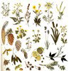 Creatief met natuurlijke materialen