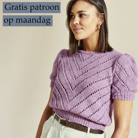 Gratis Breipatroon Trui