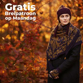 Breipatroon Omslagdoek