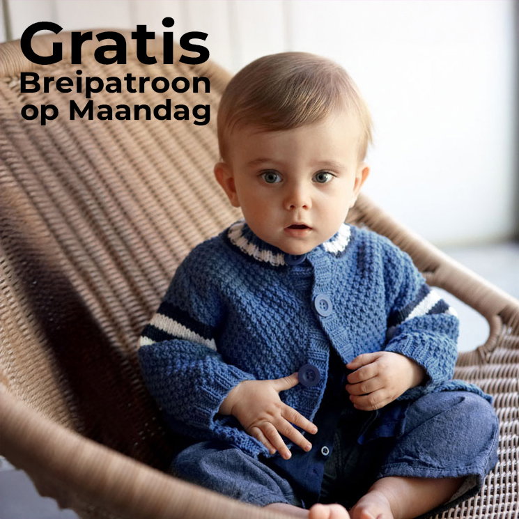 Gratis Breipatroon Jasje