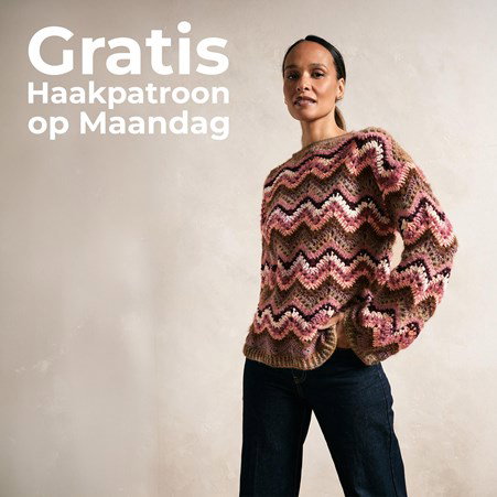 Haakpatroon Damestrui