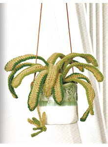 graslelie met uitlopers