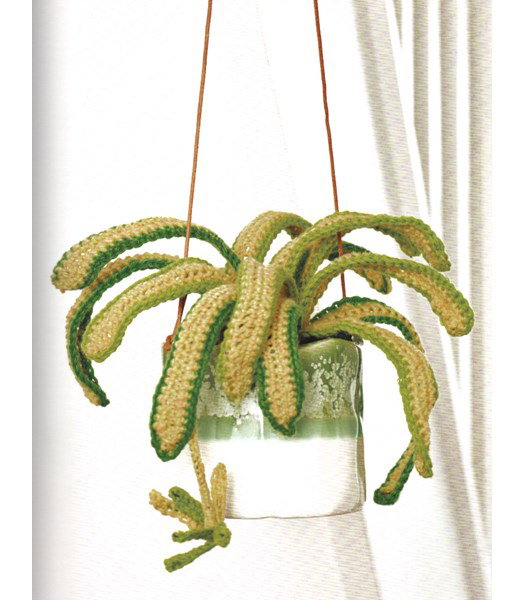 Haakpatroon graslelie met uitlopers