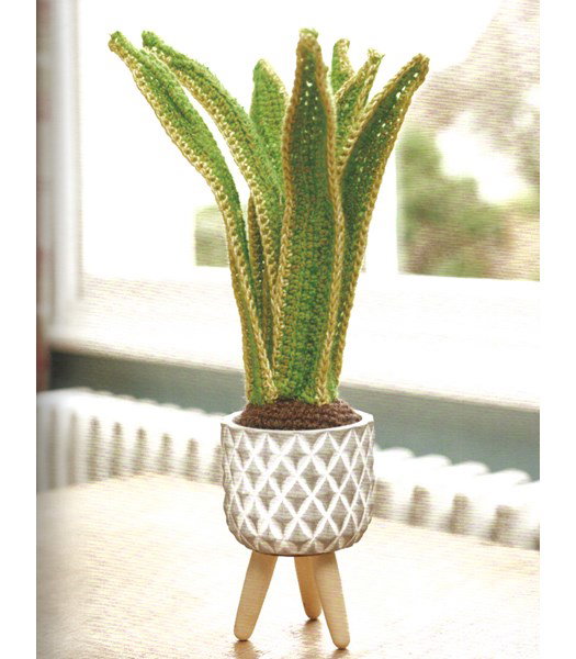 Haakpatroon Sanseveria in pot