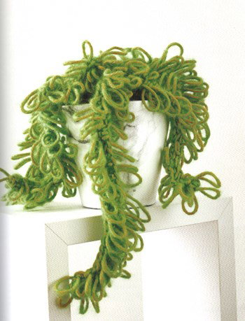 Ezelstaart vetplant
