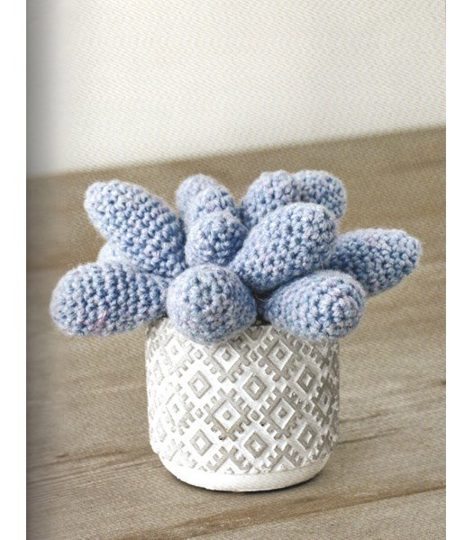 Haakpatroon Moonstone vetplant